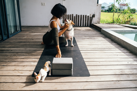 The Power of Pets in Promoting a Healthy Lifestyle