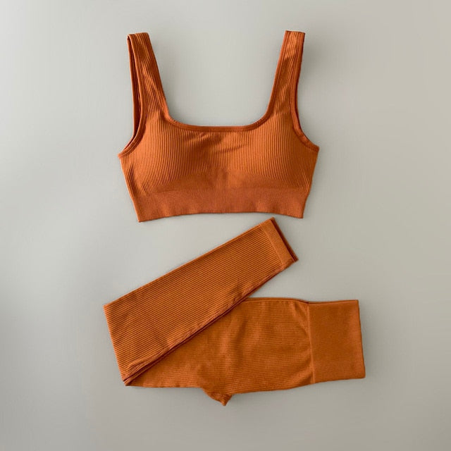 High Waist Yoga Clothing Set