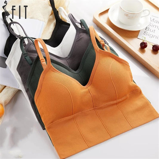 Low Impact Medium Support Sports Bra